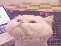 徐州妍默商贸有限公司