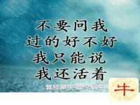 徐州妍默商贸有限公司