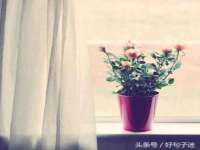 徐州妍默商贸有限公司