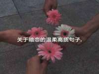 徐州妍默商贸有限公司