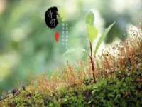 徐州妍默商贸有限公司