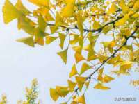 徐州妍默商贸有限公司
