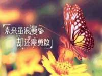 徐州妍默商贸有限公司