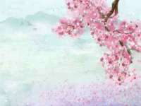 徐州妍默商贸有限公司