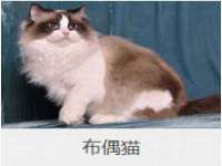 徐州妍默商贸有限公司
