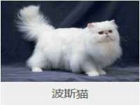 徐州妍默商贸有限公司
