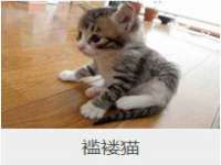 徐州妍默商贸有限公司