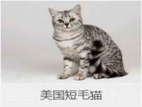 徐州妍默商贸有限公司