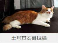 徐州妍默商贸有限公司