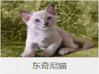 徐州妍默商贸有限公司
