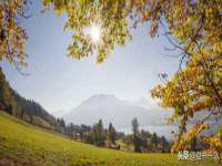 徐州妍默商贸有限公司