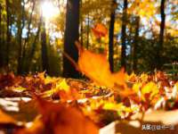 徐州妍默商贸有限公司