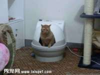 徐州妍默商贸有限公司