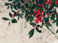 徐州妍默商贸有限公司