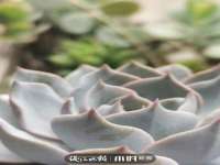 徐州妍默商贸有限公司