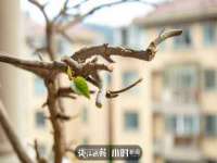 徐州妍默商贸有限公司