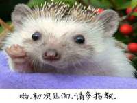 徐州妍默商贸有限公司