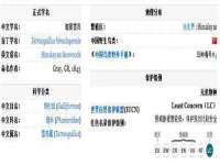 徐州妍默商贸有限公司
