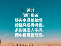 徐州妍默商贸有限公司