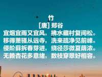徐州妍默商贸有限公司