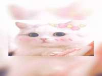 徐州妍默商贸有限公司