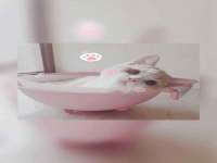 徐州妍默商贸有限公司