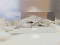 徐州妍默商贸有限公司