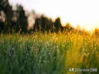 徐州妍默商贸有限公司