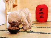 徐州妍默商贸有限公司