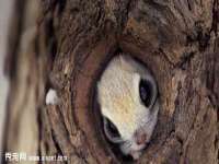 徐州妍默商贸有限公司