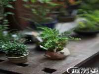 徐州妍默商贸有限公司