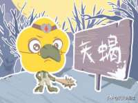 徐州妍默商贸有限公司
