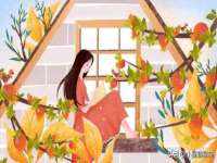 徐州妍默商贸有限公司