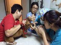 徐州妍默商贸有限公司