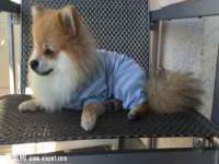 徐州妍默商贸有限公司