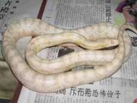 徐州妍默商贸有限公司